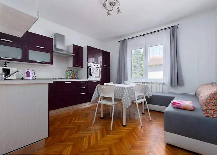 Apartment Ana With Terrace & Pet-friendly